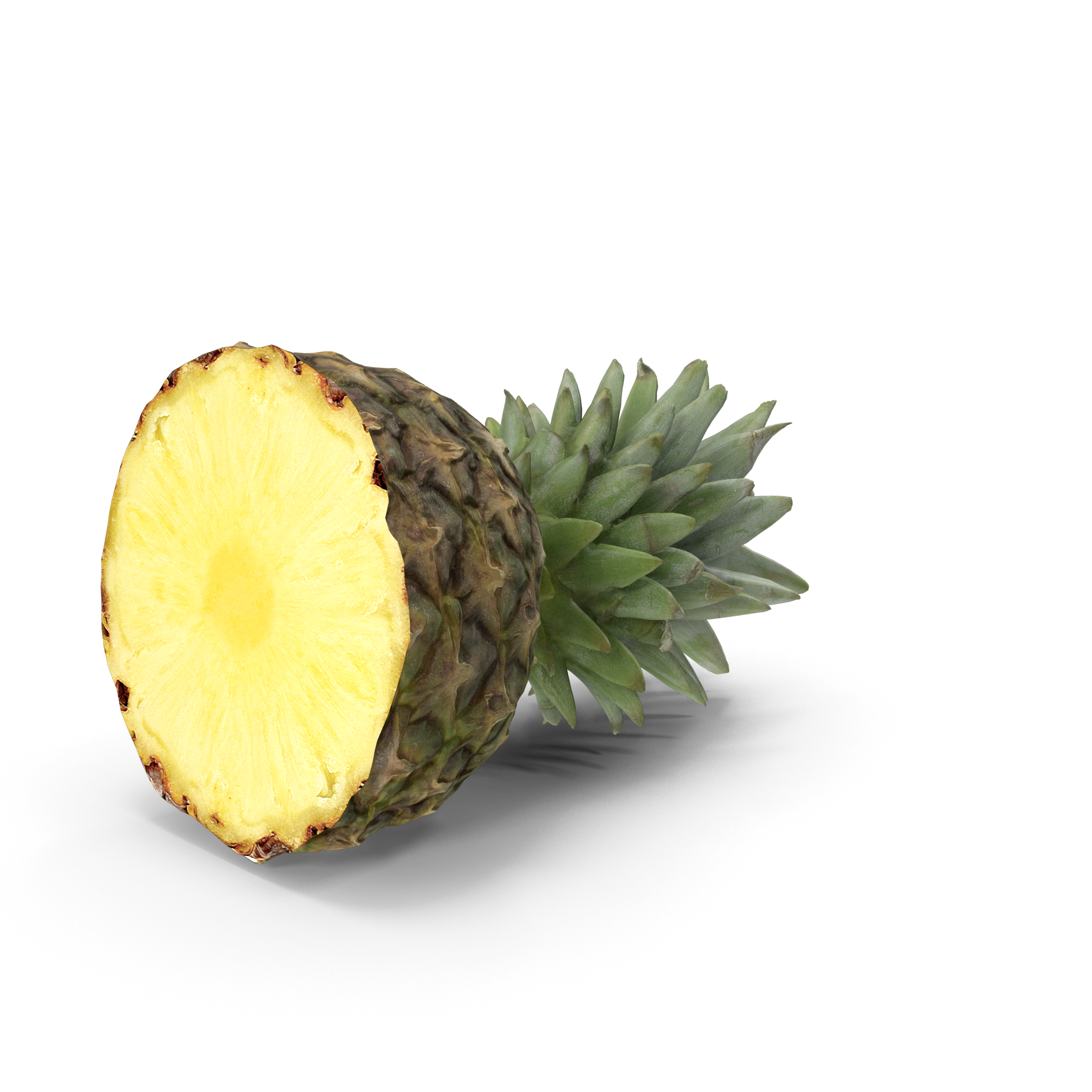 Pineapple-Slice.H03.2k.png